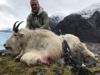 Mountain Goat 2018