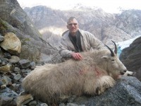 Mountain Goat 2014 - Mountain Goat 2014