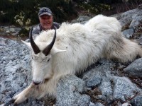 Mountain Goat 2012 - Mountain Goat 2012 - 17
